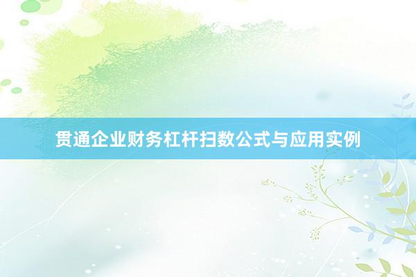 贯通企业财务杠杆扫数公式与应用实例