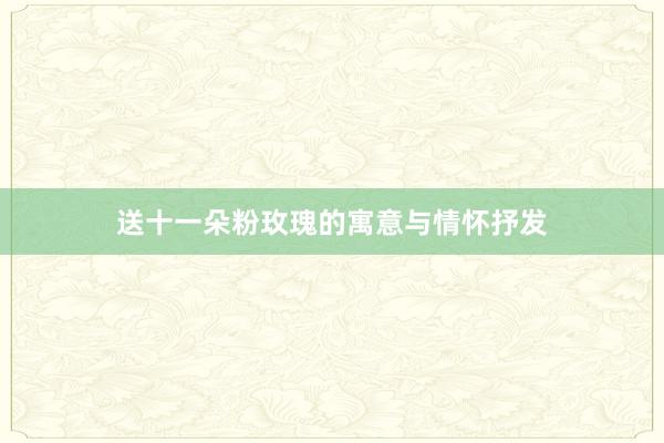 送十一朵粉玫瑰的寓意与情怀抒发