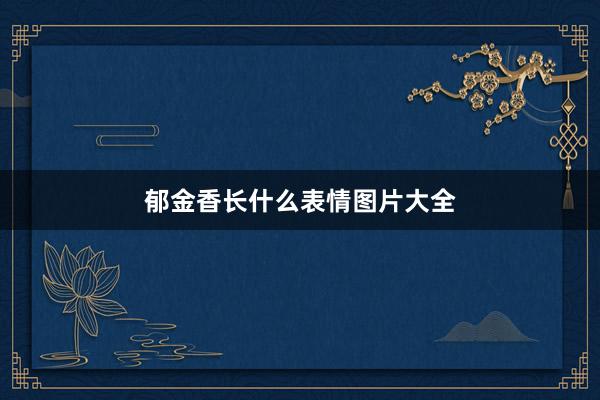 郁金香长什么表情图片大全