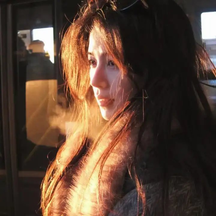 巅峰拍档第二十九季